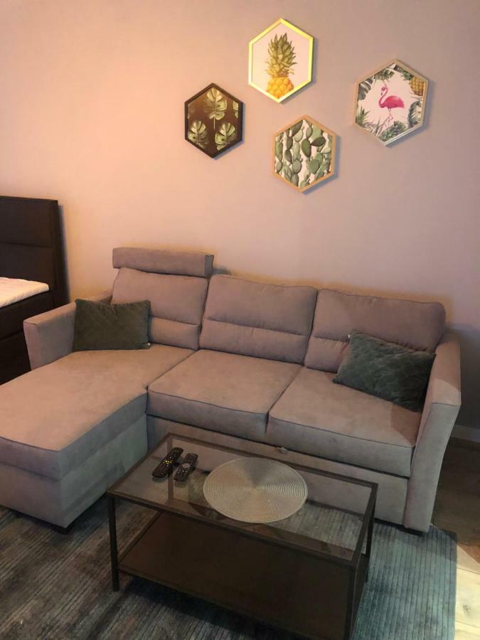 Apartament Flaming Z Balkonem - Scisle Centrum Naprzeciwko Pkp I Pks - Self Check In - Darmowy Parking - Pozne Wymeldowanie - Wystawiamy Fv Opole Eksteriør bilde